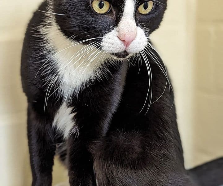 Foto von Unser "Supermodel" Neo