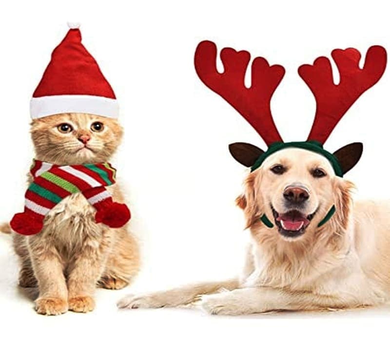 Adventsbasar am 18. Dezember - wir laden ein :-)