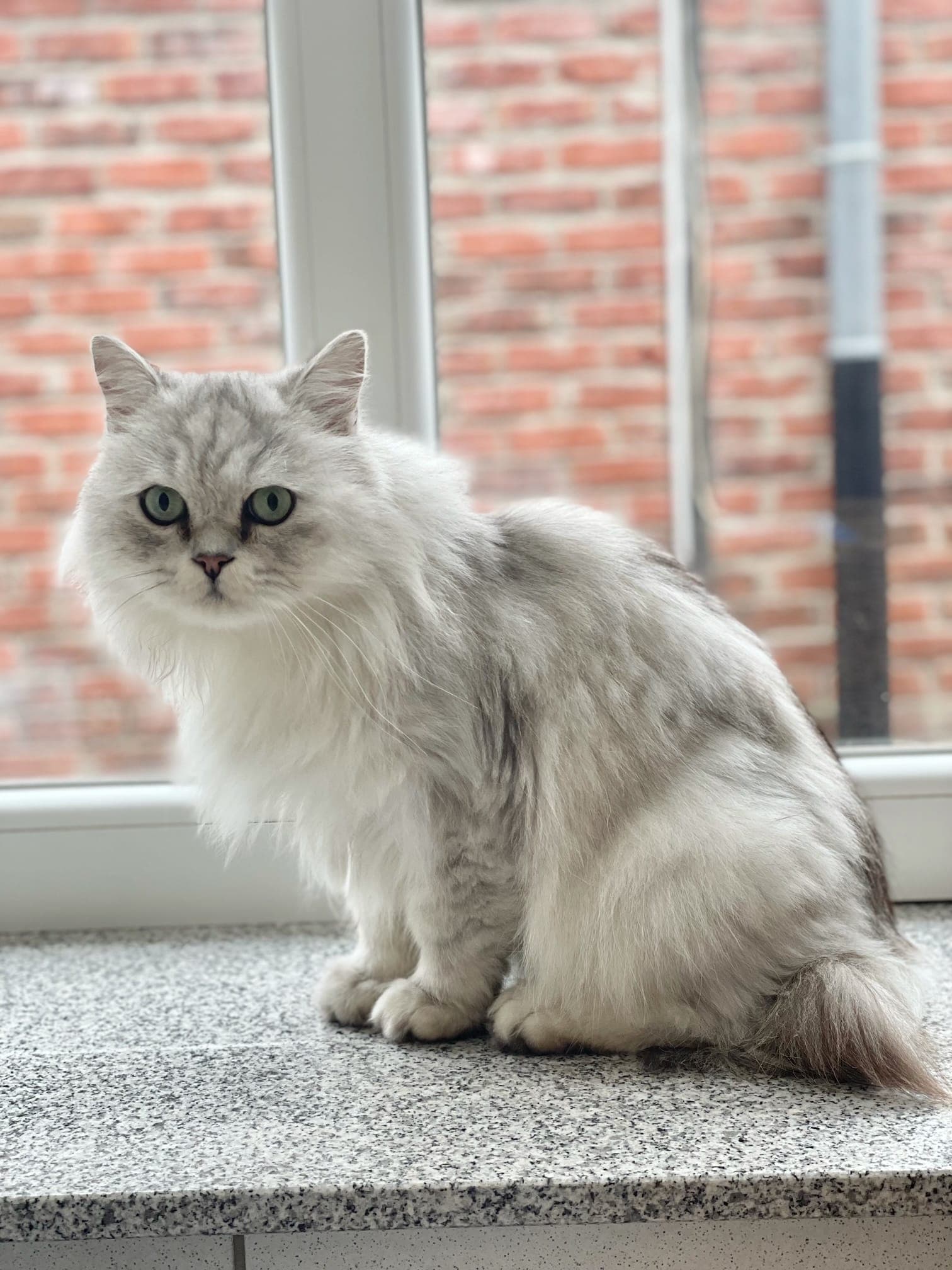 Foto von Oliver