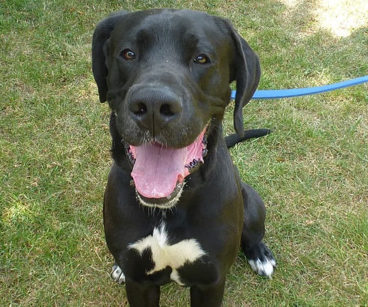 Foto von Paul, unser junger Riese