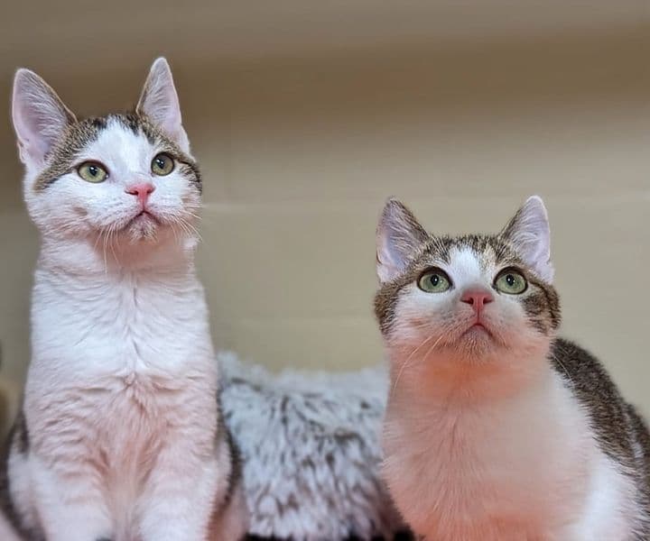 Foto von Pavel und Kräkel könnten Brüder sein...