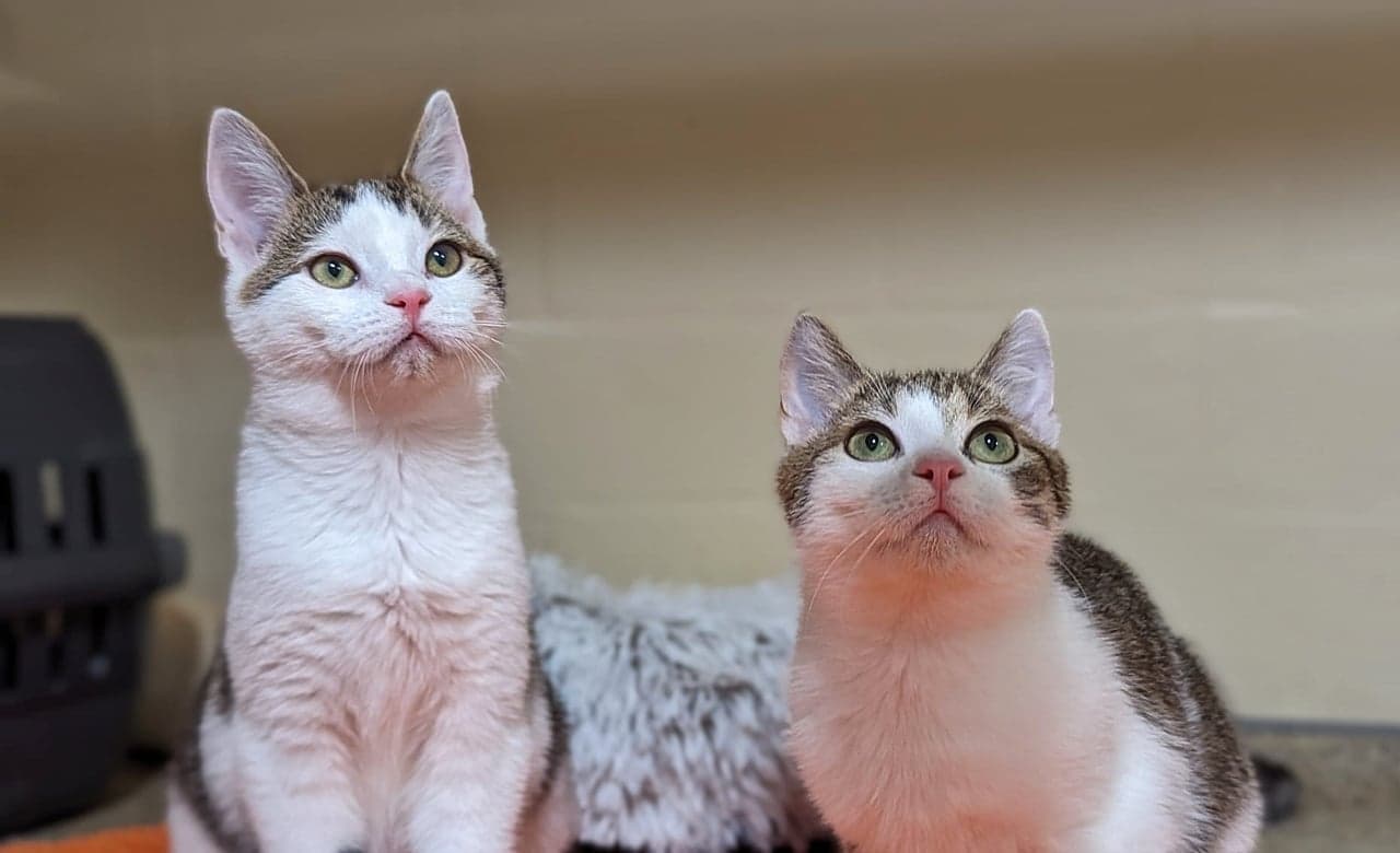 Foto von Pavel und Kräkel könnten Brüder sein...