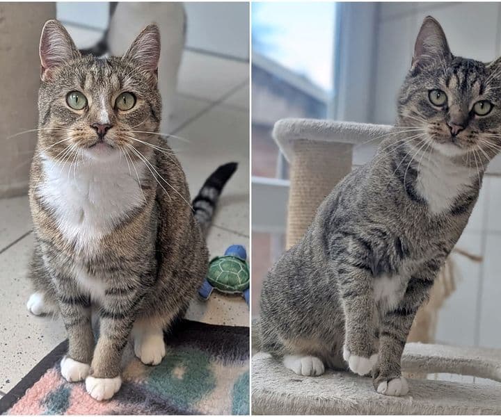 Foto von die Schwestern Poppy und Thaddea möchten zusammen bleiben