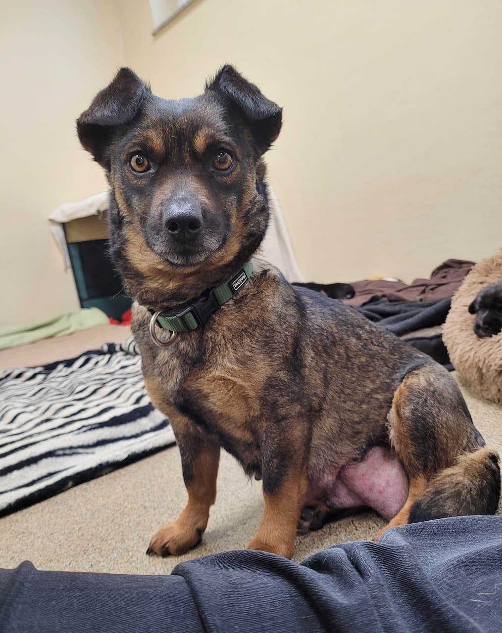 Foto von sanfte kleine Püppi
