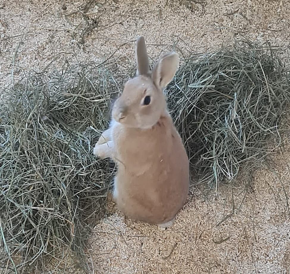 Foto von Mayas Tochter Schlafmütz