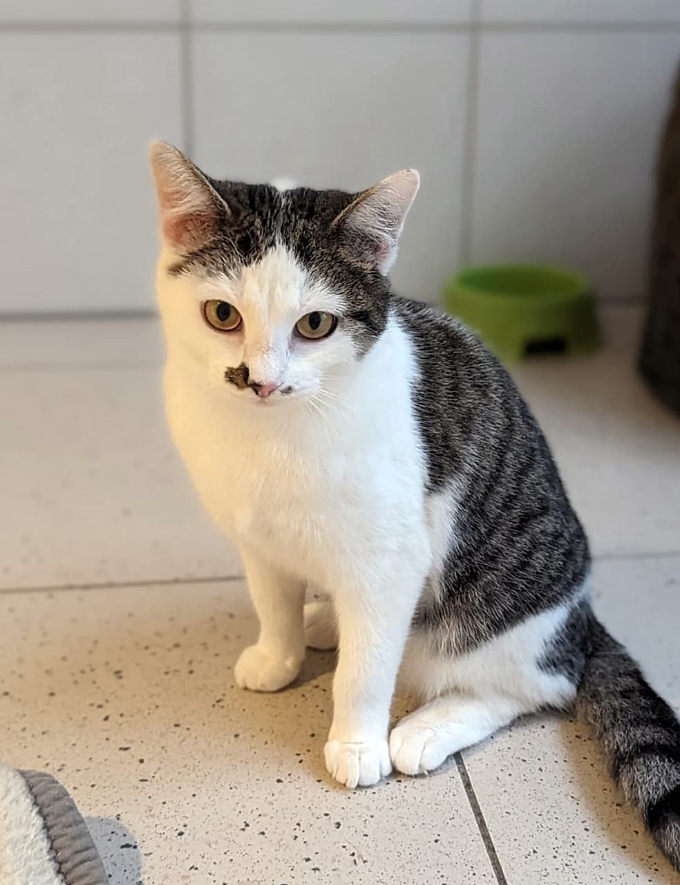 Foto von Sanfte schüchterne Sleepy (mit Video)