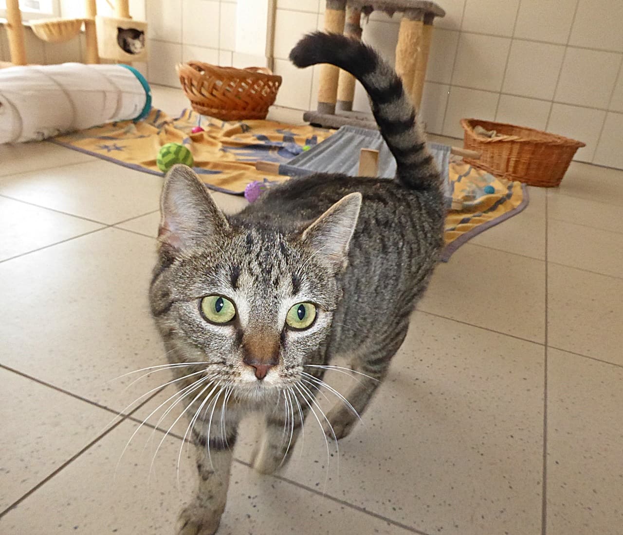 Foto von Sophie