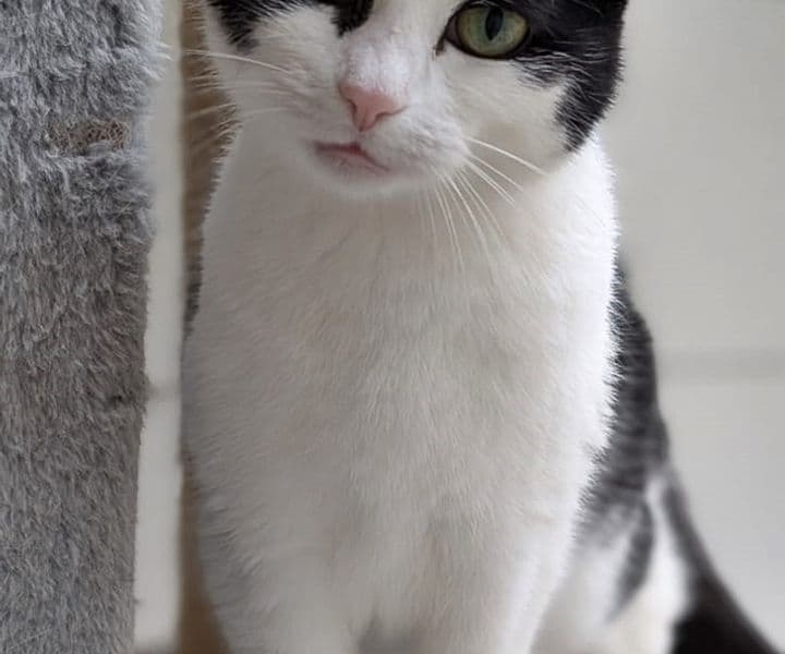 Foto von Liebenswerte Sophie