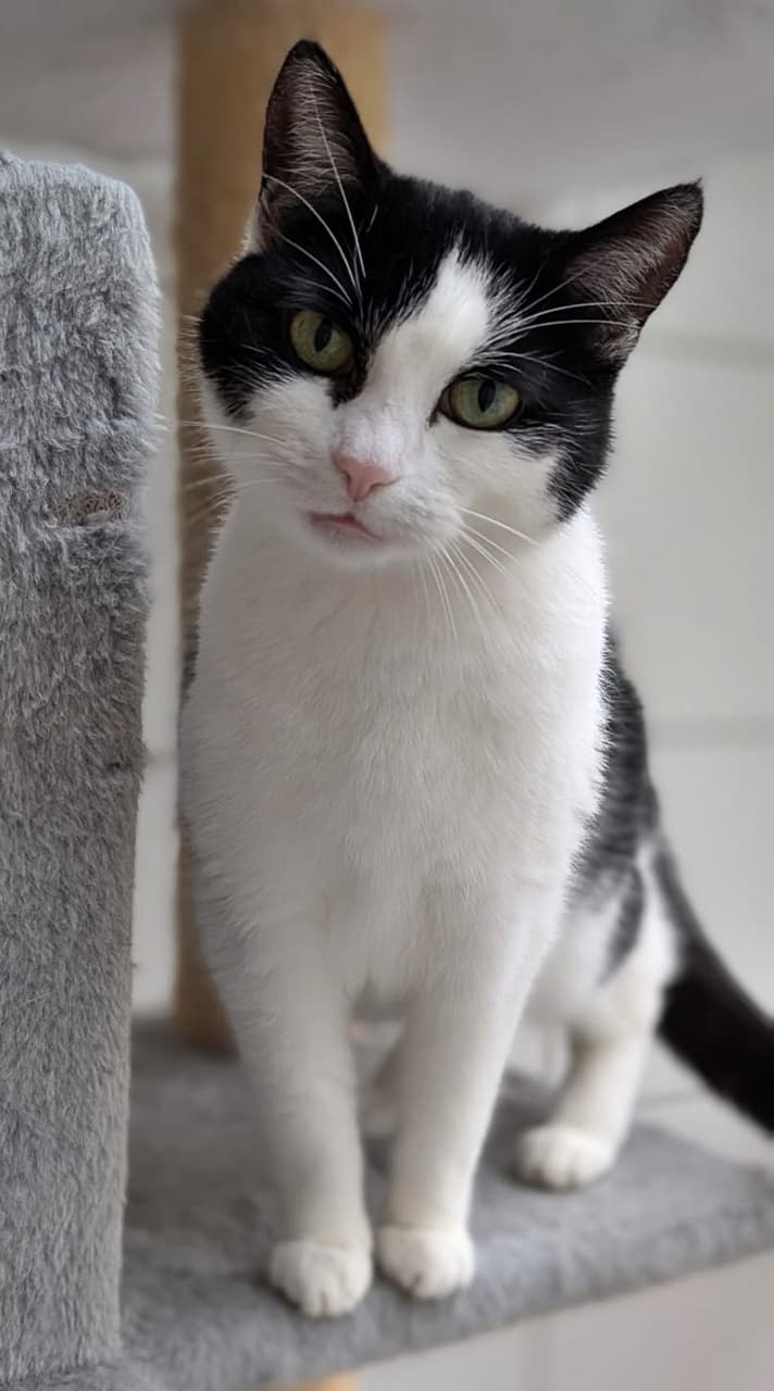 Foto von Liebenswerte Sophie