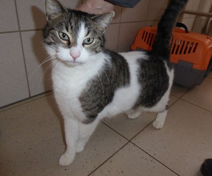 Foto von Spencer