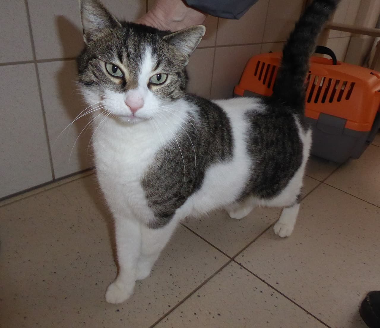 Foto von Spencer