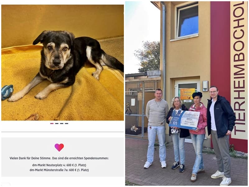 Gewinner DM Aktion "Lust an Zukunft" und Spendenübergabe von Flender