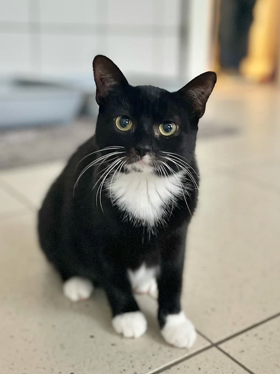 Foto von Thalia