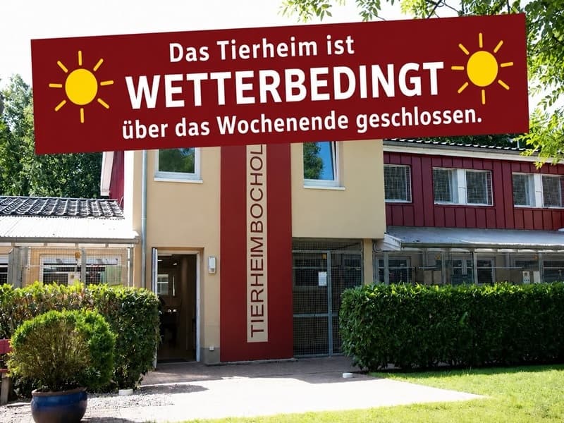 Unser Tierheim und unsere Cafeteria bleiben geschlossen