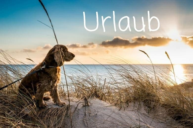 Unser Cafe geht in den Sommerurlaub