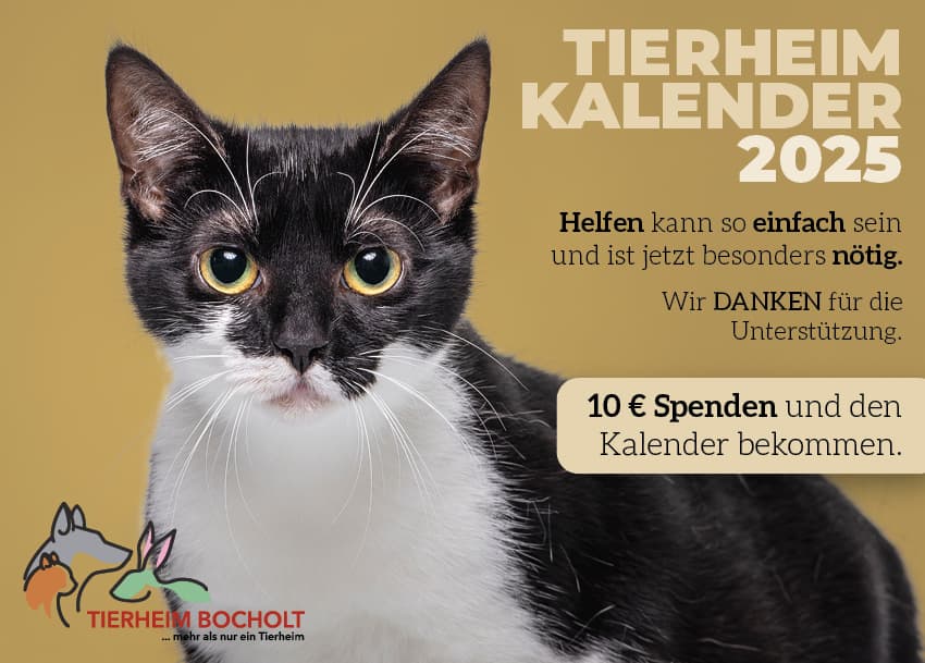Der neue Tierheimkalender 2025 ist da!
