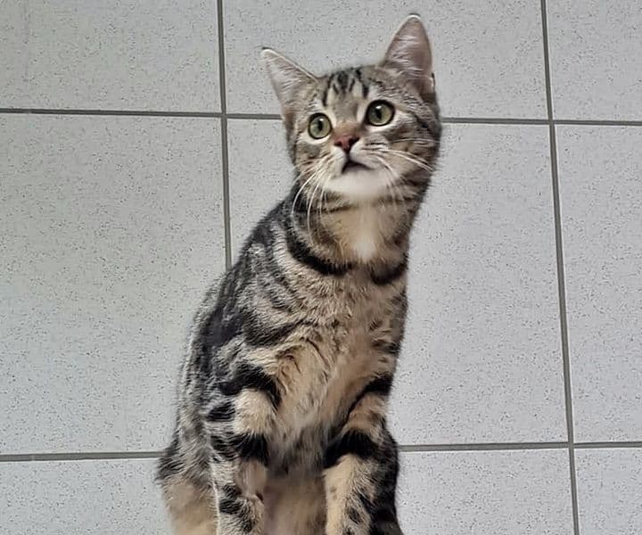 Foto von Tinka und Noah
