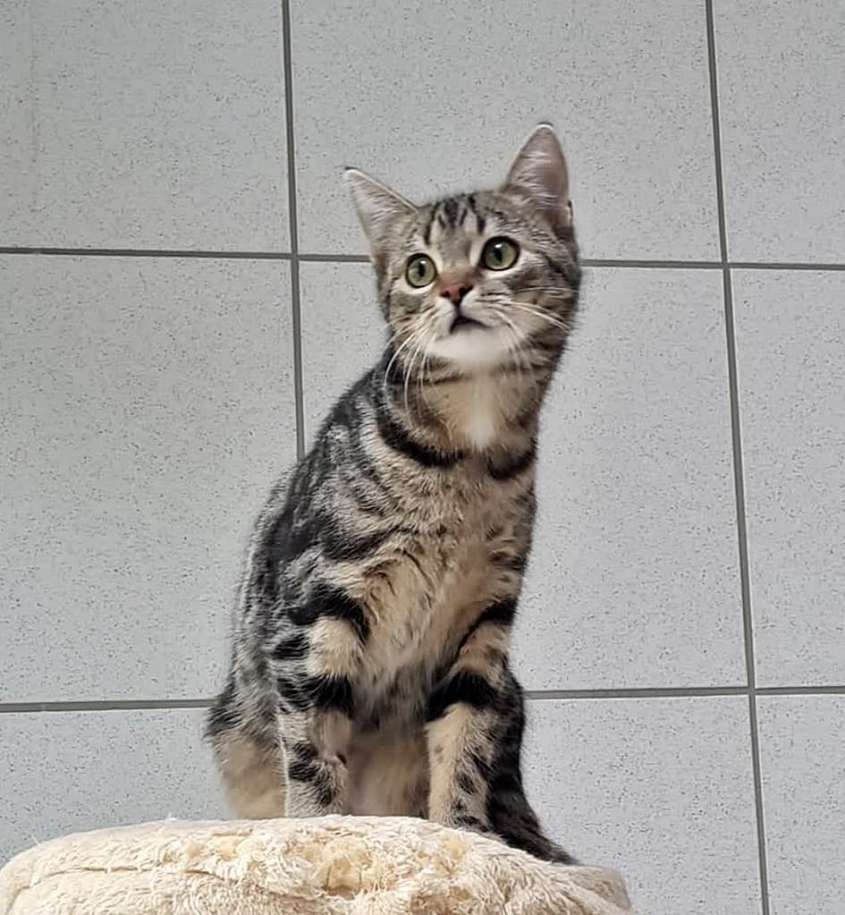 Foto von Tinka und Noah