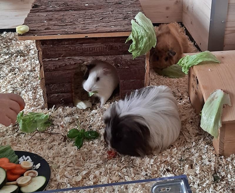 Toni und Polly genießen ihr Leben