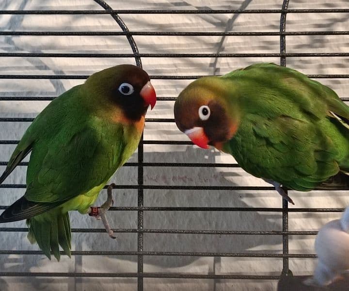 Foto von Anni und Tommy, unser Liebespaar