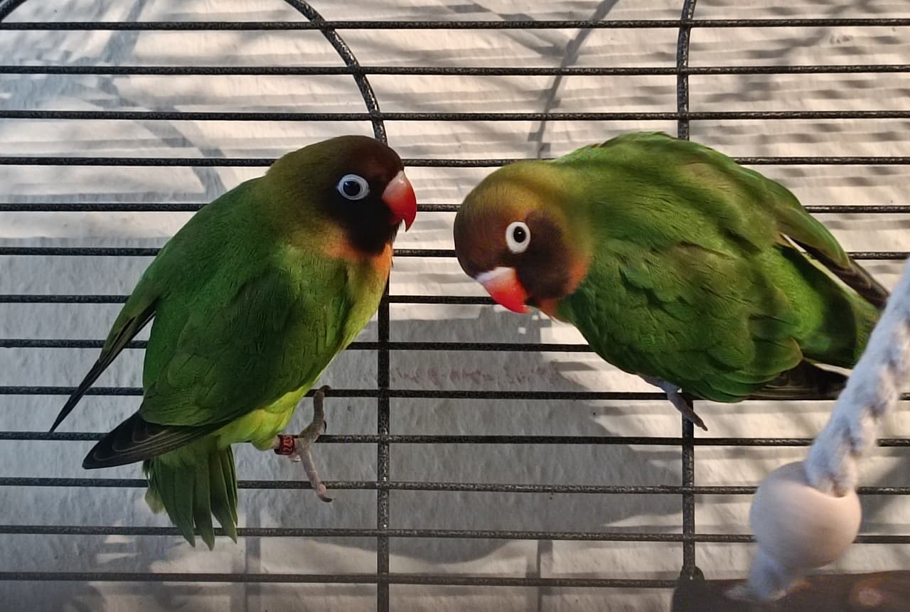 Foto von Anni und Tommy, unser Liebespaar