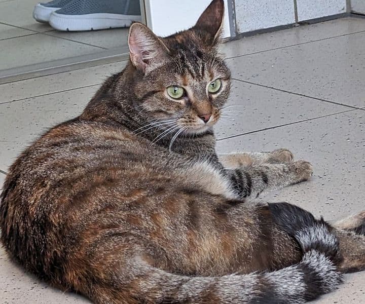 Foto von schüchterne hübsche Vera