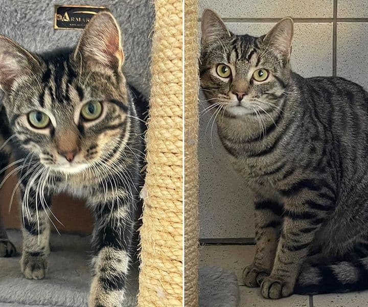 Foto von Walker und Wesley, unser Bruderpaar