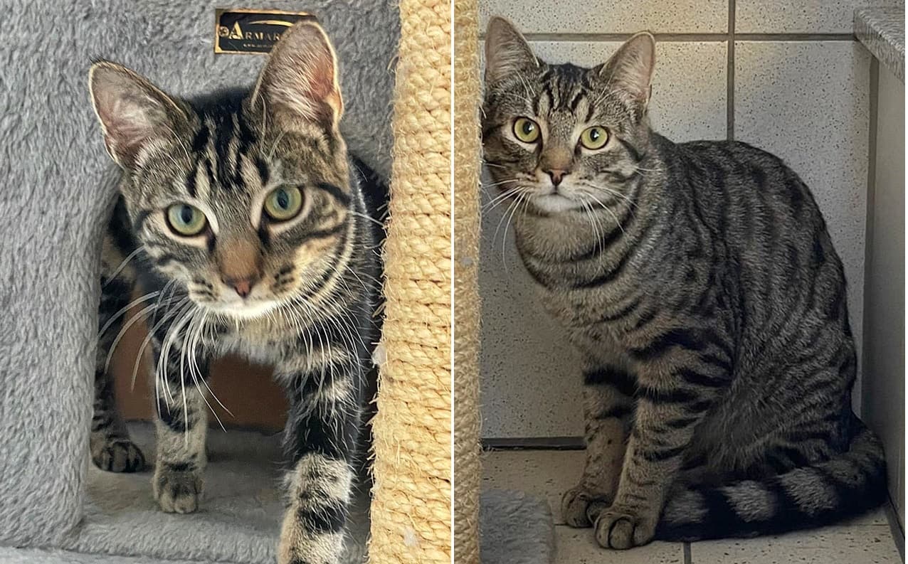Foto von Walker und Wesley, unser Bruderpaar