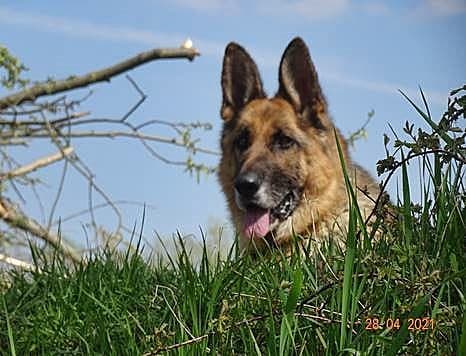 Foto von Ayke