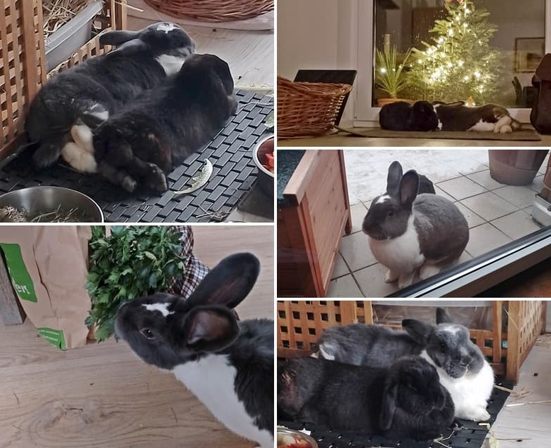 Marco ist verliebt in Bella