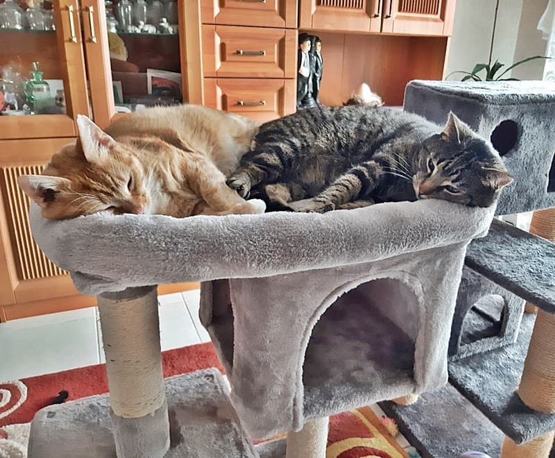 Ramon und Tyler leben im Paradies