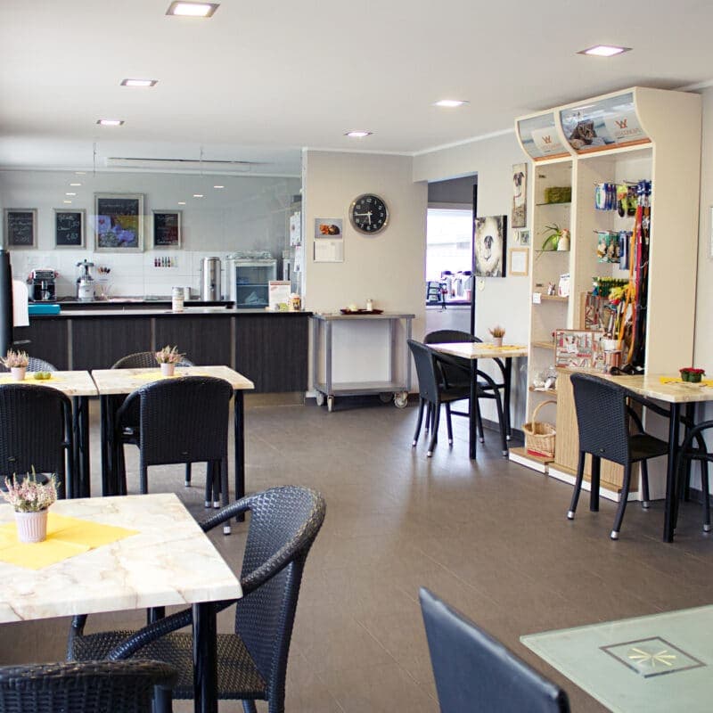 Terrasse des Cafés im Tierheim