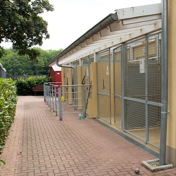 Außenzwinger des Hundehauses