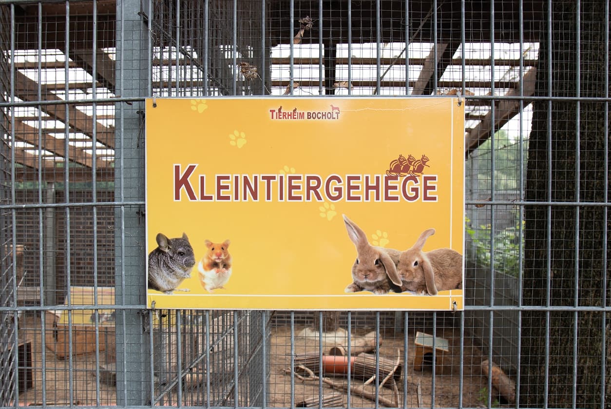 Kleintierhaus, Bild 1