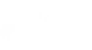 Tierheim Bocholt, zur Startseite
