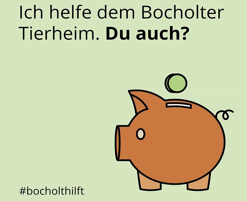 Wir brauchen JETZT Hilfe!