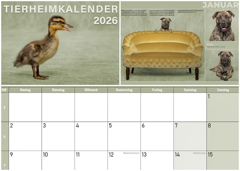 Wer hat ein Herz für einen armen schönen Vogel?