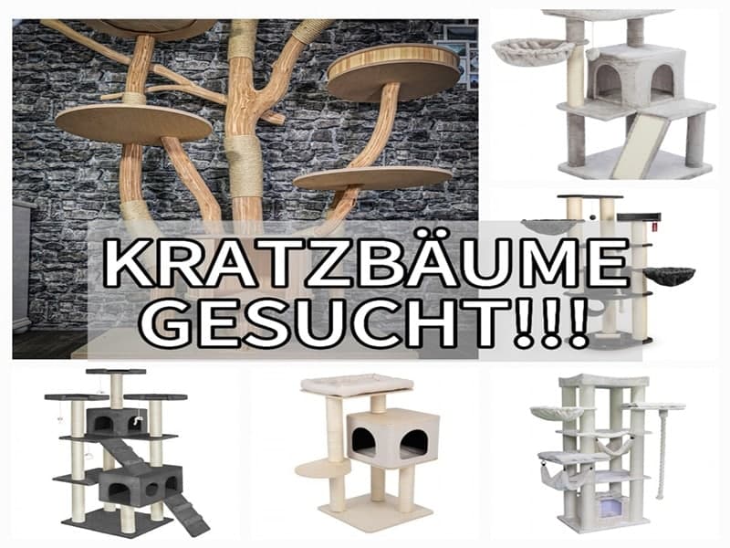 Kratzbäume gesucht! / Tierheim Bocholt Wunschzettel wurde aktualisiert