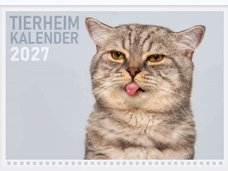 Tierheimkalender 2027