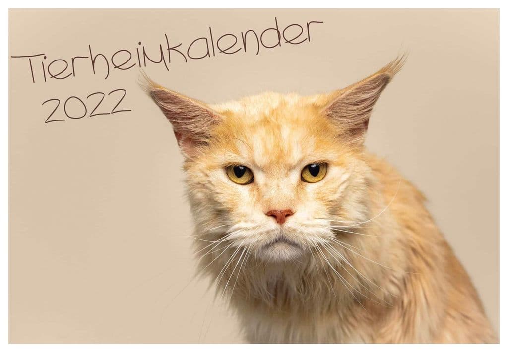 Der neue Tierheimkalender 2022 ist erhältlich