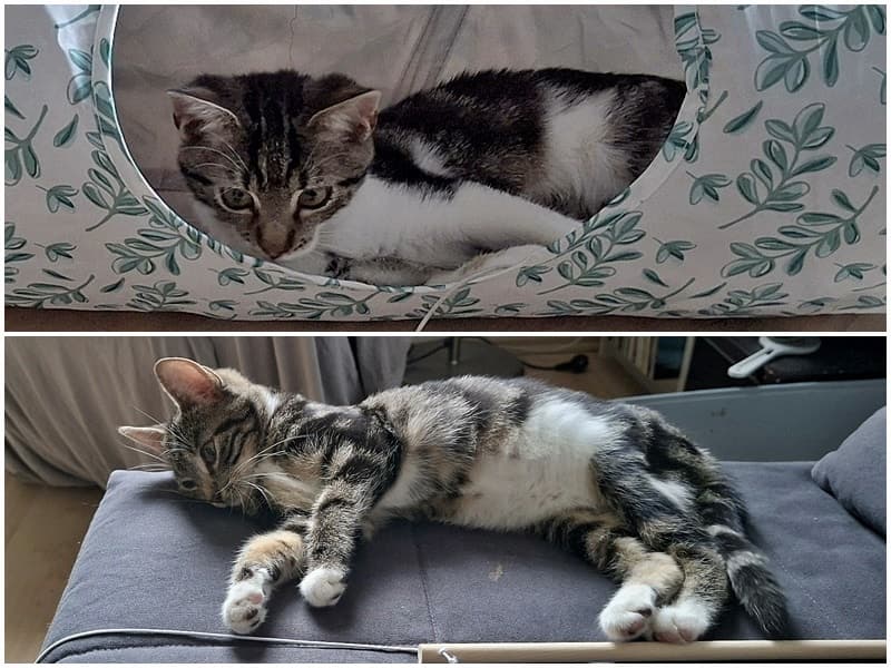 Toffi und Tilda haben sich eingelebt