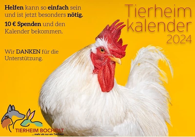 Der neue Tierheimkalender 2024 ist da!