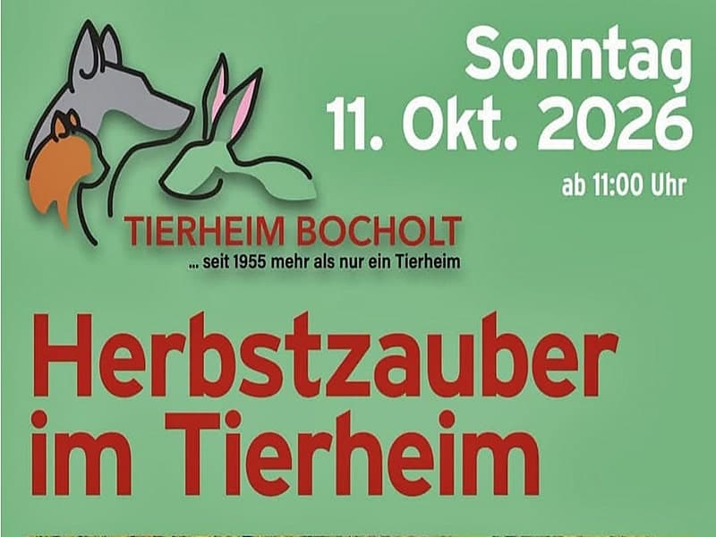 Plakat Herbstzauber im Tierheim am 11. Oktober 2026 ab 11 Uhr