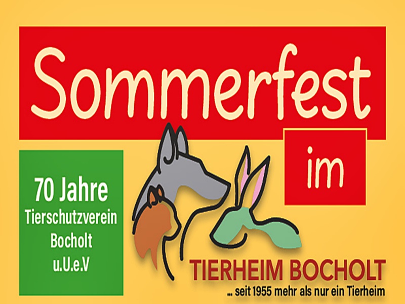 Save the Date: unser Sommerfest naht