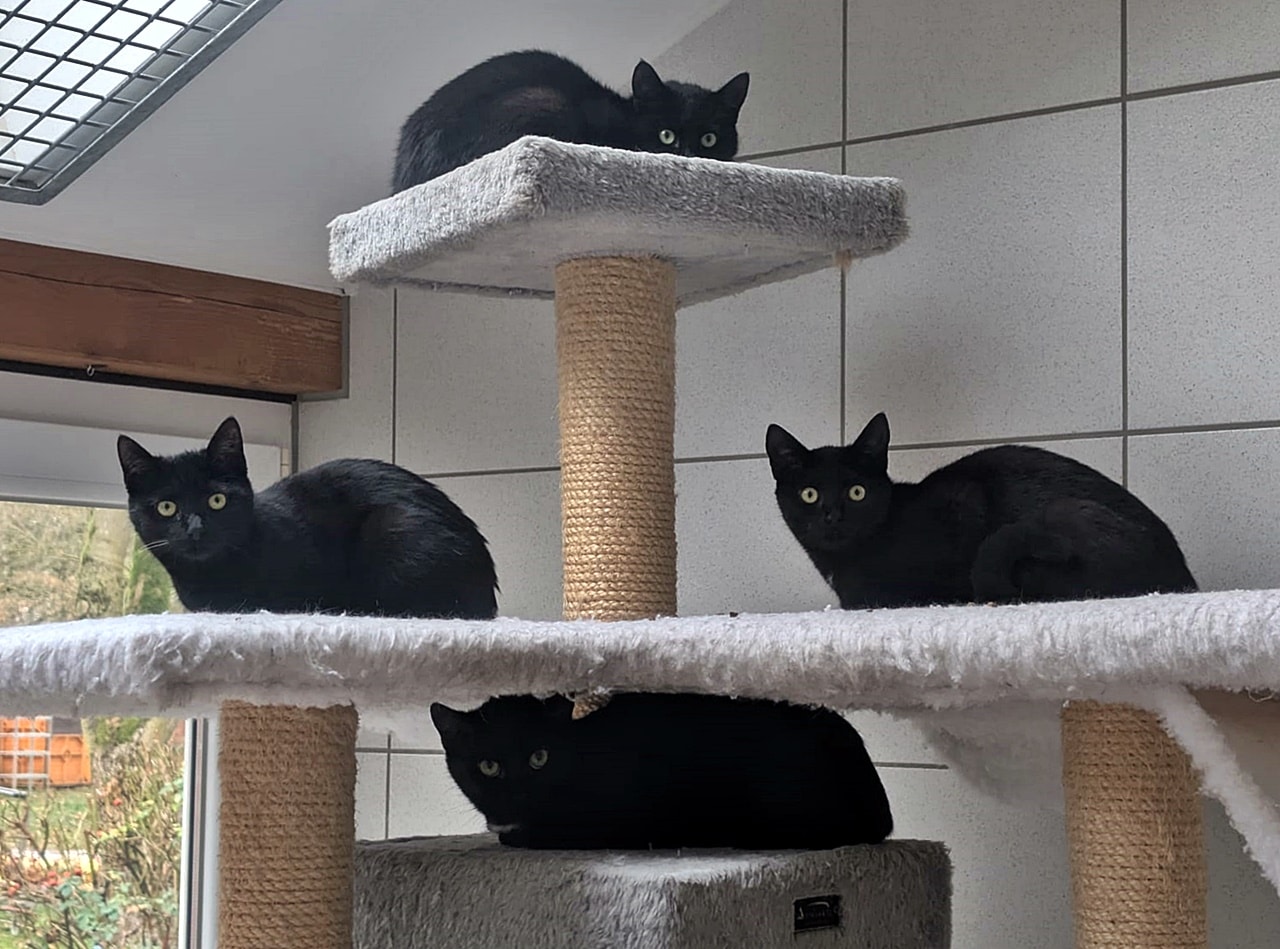 Matrushkas Kinder (1)