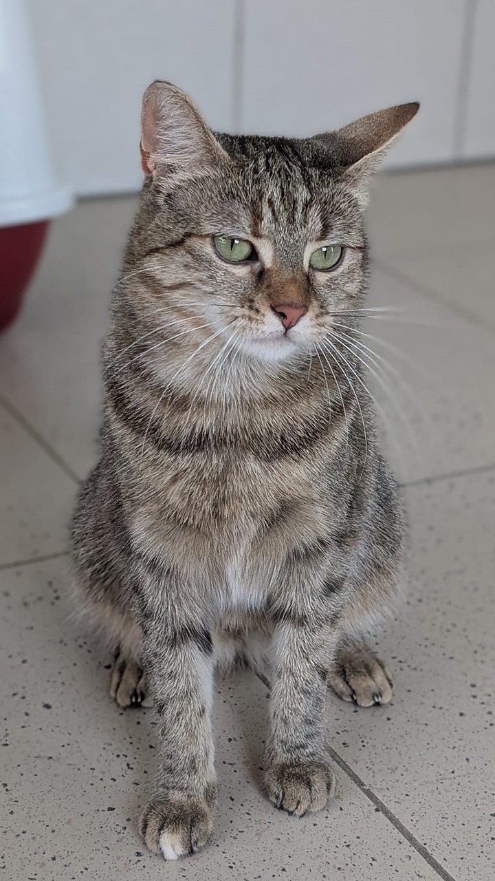 Penelope (4)