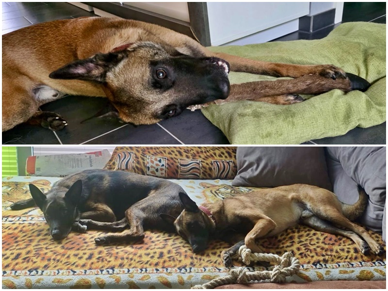 Theo und seine Familie sind glücklich
