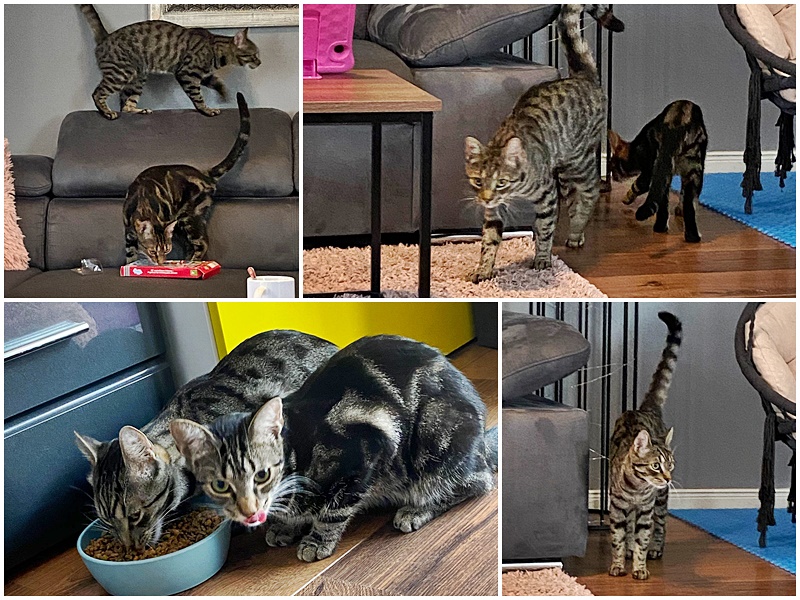 Wesley und Walker sind gut angekommen