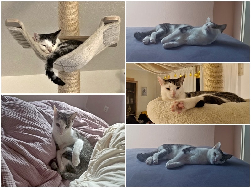 Lenny (ehemals Ralf) hat sein Angstbündel-Dasein abgelegt