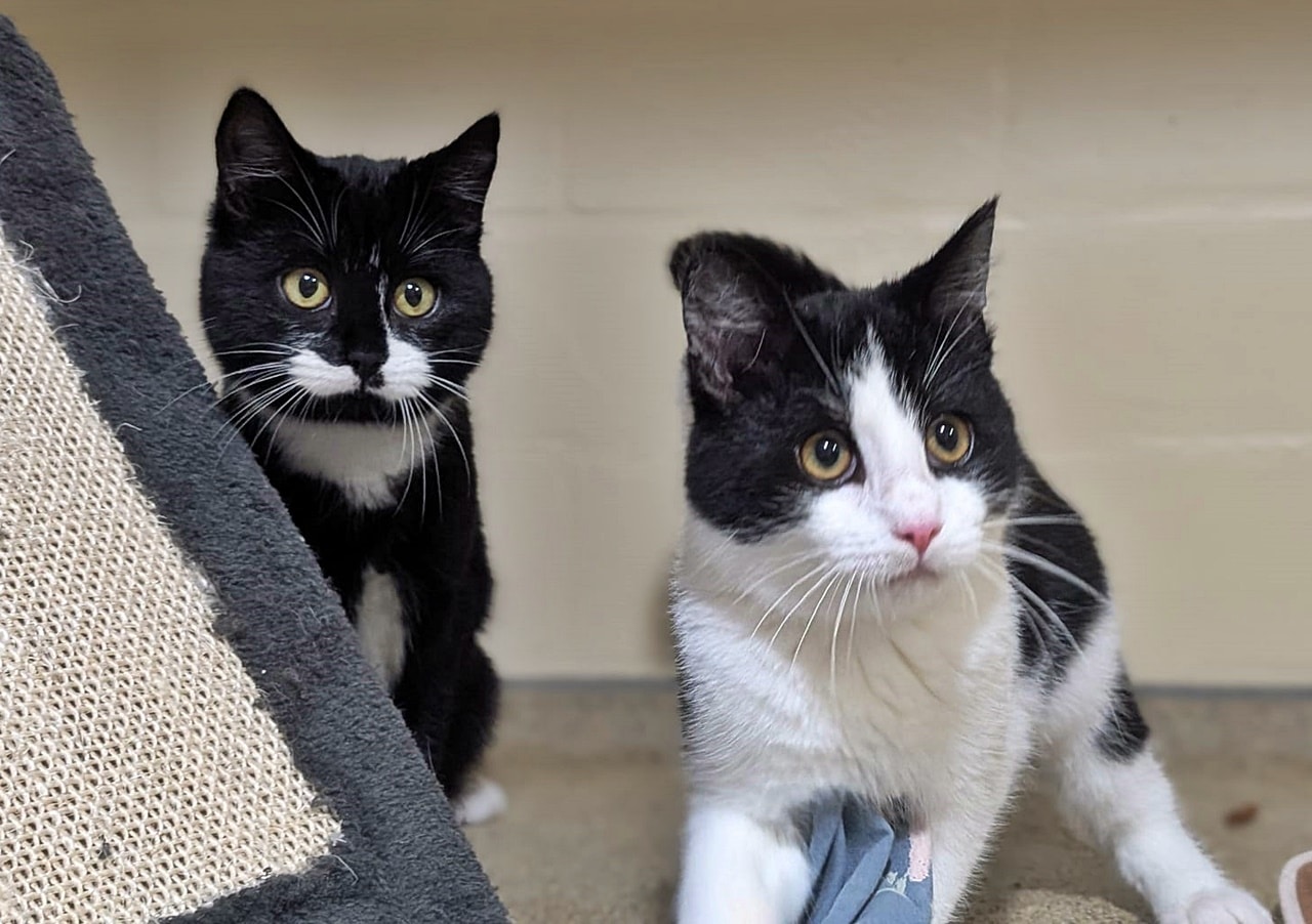 Butter u. Frederik (5)